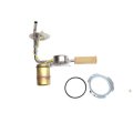 1976 GM Truck FORD TRUCK SENDING UNIT 3/8'' LINE SIZE 2WD W/ MIDFRAME TANK, LOCK RING, SEAL O-RING, & STRAINER - AFT50-59100 | FT59100K