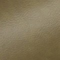1972 Oldsmobile Cutlass/442/F85 INTERIOR RECONDITIONING SPRAY PAINT (M06 - MUSTARD GOLD) 12 OZ CAN | PT0006Z