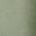 1972 Oldsmobile Cutlass/442/F85 INTERIOR RECONDITIONING SPRAY PAINT (M19 - JADE GREEN) 12 OZ CAN | PT0019Z