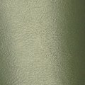 1972 Oldsmobile Cutlass/442/F85 INTERIOR RECONDITIONING SPRAY PAINT (M23 - LIGHT GREEN) 12 OZ CAN | PT0023Z