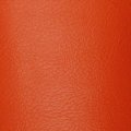 1972 Oldsmobile Cutlass/442/F85 INTERIOR RECONDITIONING SPRAY PAINT (M26 - HUGGER ORANGE) 12 OZ CAN | PT0026Z