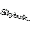 1968 Buick Skylark/GS/Regal/GN TRUNKLID EMBLEM 'SKYLARK' GM 9074068 - EA | EM1977S