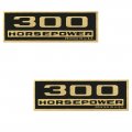 1964 Chevrolet El Camino 300 HP VALVE COVER DECALS  PAIR (DC0223) 3816289 | DC1502C