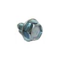 1981 Pontiac GTO/LeMans/Tempest OIL PAN BOLT WITH FLANGED HEAD AND CORRECT 