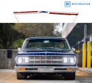 1965 Chevrolet El Camino GRILLE LUCITE EMBLEM INSERT | 3875758