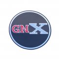 1983 Buick Skylark/GS/Regal/GN GNX WHEEL INSERT 55.14MM - EACH | WT52742S