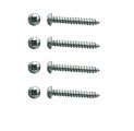 1966 Chevrolet Impala/Caprice/Bel Air ARM REST BASE SCREW KIT (SET OF 4) | IN52866Z