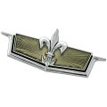 1975 Chevrolet Impala/Caprice/Bel Air CLASSIC FENDER EMBLEM FLEUR-DE-LIS GM # 358797 | 358797