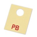 1972 Pontiac GTO/LeMans/Tempest FACTORY BRAKE BOOSTER ID TAG IDENTIFICATION CODE: PB  EA | DC1003G