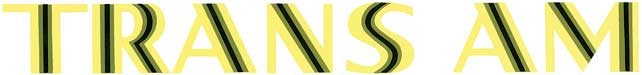 1973 Pontiac Firebird/TransAm BLACK/LIGHT GREEN/DARK GREEN TRANS AM DECAL KIT | DC1691F