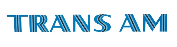 1976 Pontiac Firebird/TransAm BLACK/LIGHT BLUE/DARK BLUE TRANS AM DECAL KIT | DC1693F