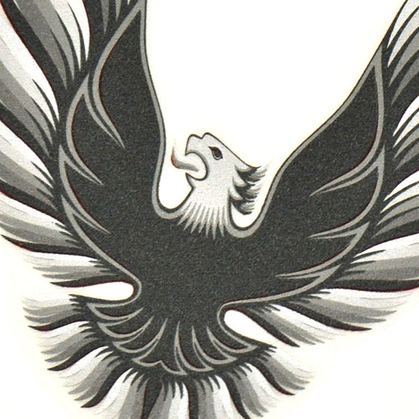 1979 Pontiac Firebird/TransAm SAIL PANEL 
