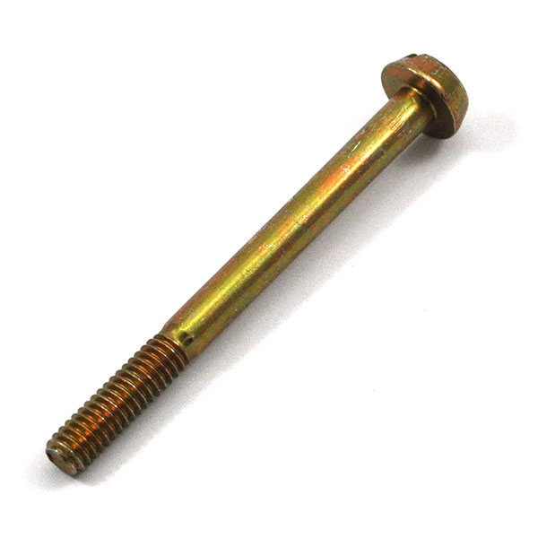 1974 Pontiac GTO/LeMans/Tempest HOLLEY CARBURETOR FUEL BOWL SCREW 2 Â½â€ LONG â€“ SET OF 8 | CB5211Z