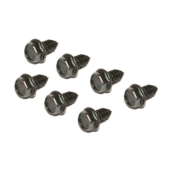 1969 Pontiac GTO/LeMans/Tempest RAP-KIT RAM AIR PAN BOLT KIT | CW52892G