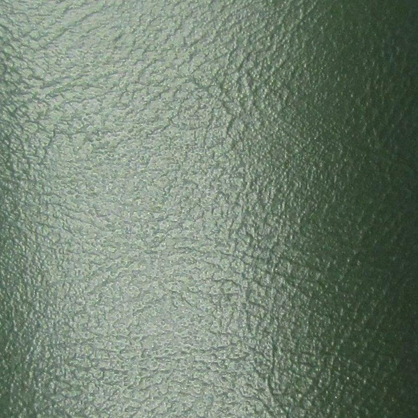 GM Truck INTERIOR RECONDITIONING SPRAY PAINT (M25 DARK GREEN) 12 OZ