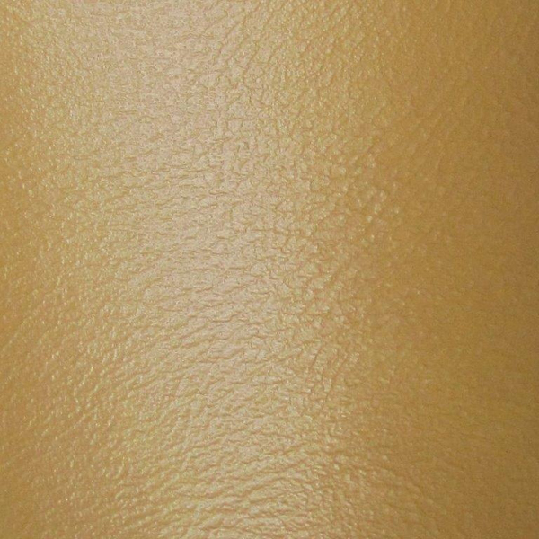 1964 Pontiac GTO/LeMans/Tempest INTERIOR RECONDITIONING SPRAY PAINT (M36 - 1970 SADDLE) 12 OZ CAN | PT0036Z