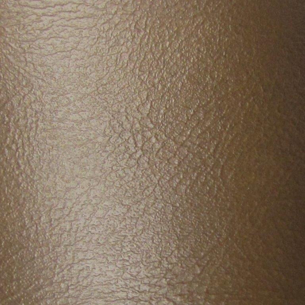 Chevrolet Monte Carlo INTERIOR RECONDITIONING SPRAY PAINT (M42 - DARK SADDLE) 12 OZ CAN | PT0042Z