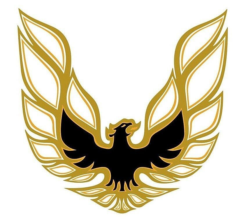 1978 Pontiac Firebird/TransAm BLACK/LIGHT GOLD/YELLOW - ORANGE/CLEAR TRANS AM DECAL KIT | DC7802F