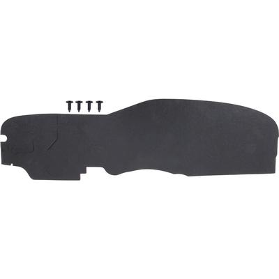 1969 Chevrolet Nova/Chevy II FIREWALL PAD; HEATER DELETE | IN10298Z