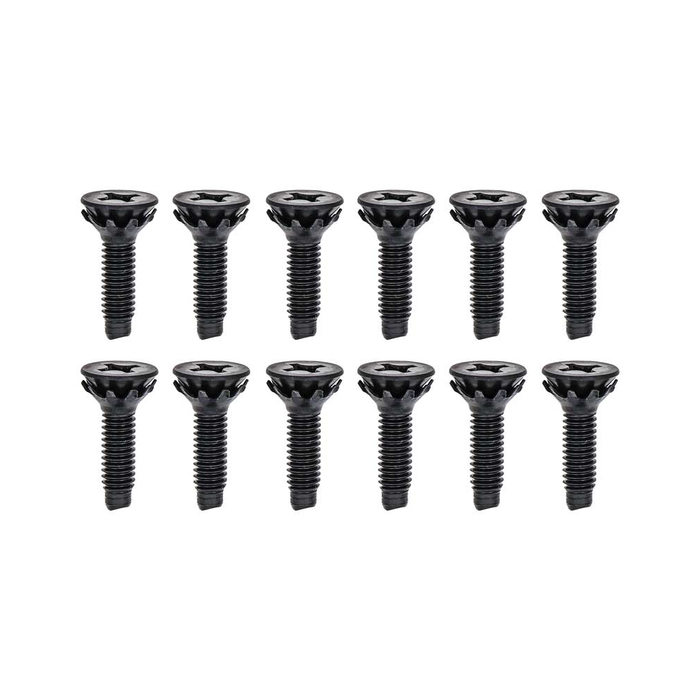 1966 Chevrolet Nova/Chevy II DOOR HINGE SCREW SET 12 BOLTS - DOES ONE DOOR | BP3611Z