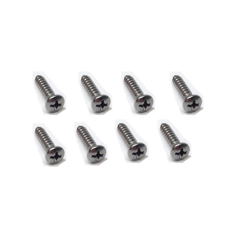 1973 Pontiac GTO/LeMans/Tempest DOOR SILL PLATE SCREW KIT | IN2354Z