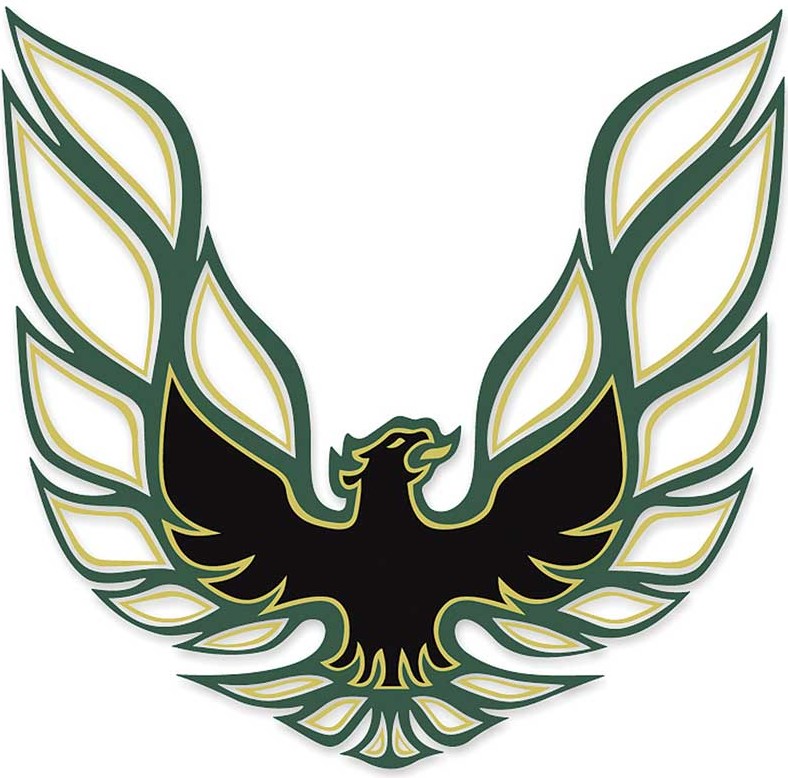 1973 Pontiac Firebird/TransAm BLACK/LIGHT GREEN/DARK GREEN TRANS AM DECAL KIT | DC1691F