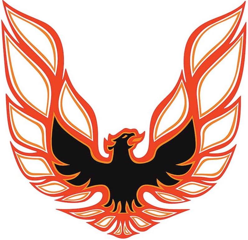 1977 Pontiac Firebird/TransAm BLACK/LIGHT ORANGE/DARK ORANGE TRANS