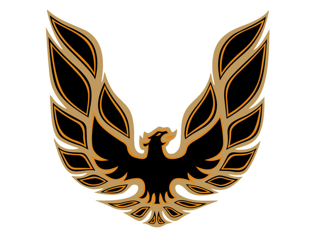 1977 Pontiac Firebird/TransAm BLACK/LIGHT GOLD/YELLOW-ORANGE/BLACK TRANS AM DECAL KIT | DC1696F