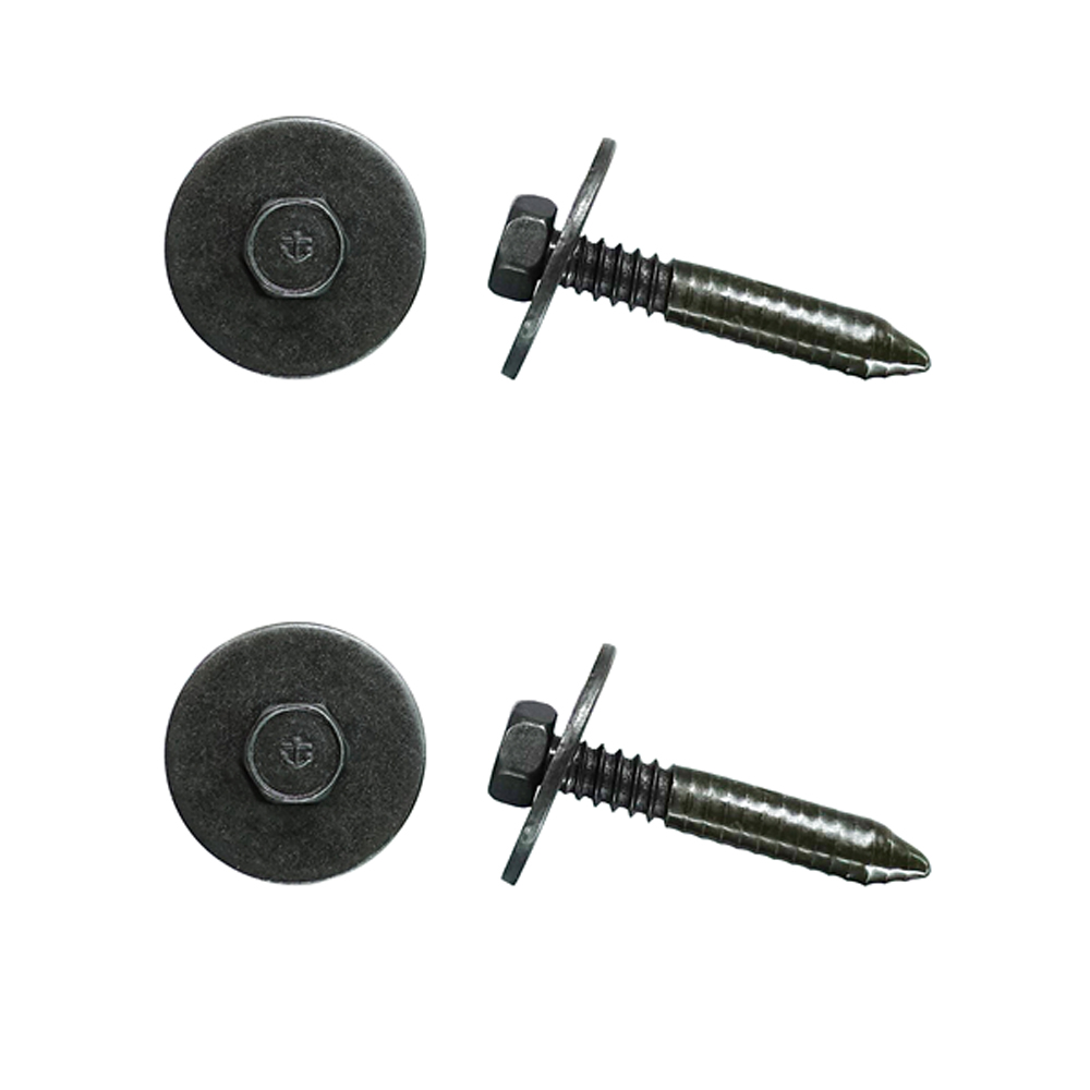 1978 Buick Skylark/GS/Regal/GN CARPET FIREWALL GUARD WASHER HEAD SCREWS WITH WAX SEALANT (SKYLARK ONLY) - PR | IN1258Z