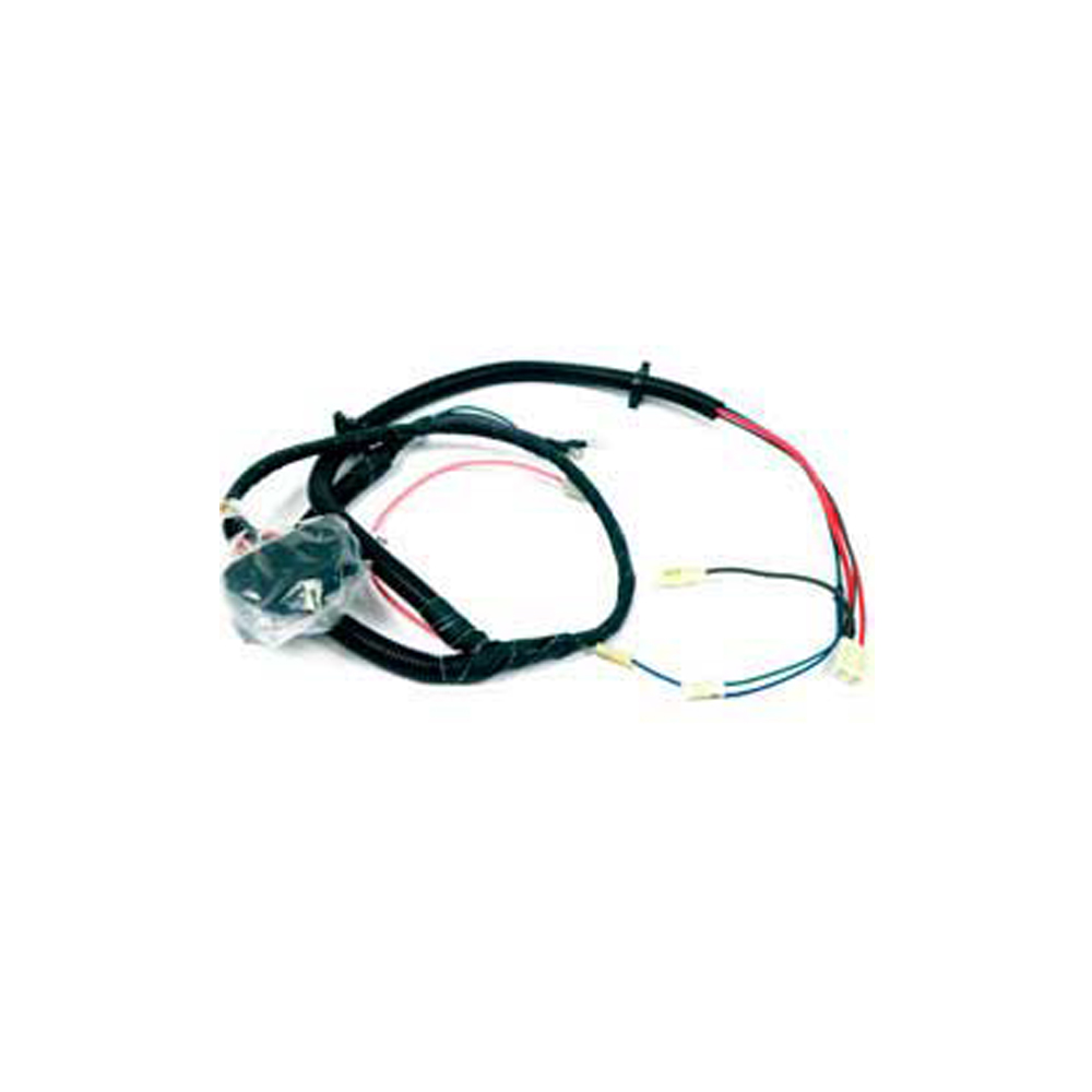 1979 Pontiac Firebird/TransAm ENGINE HARNESS, V8, OLDS 403 C.I. | FB98872