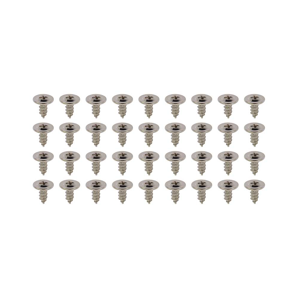 1969 Pontiac GTO/LeMans/Tempest WHEEL WELL MOLDING SCREW KIT (36 SCREWS) | HB5288Z